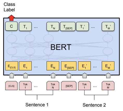 Thus, recalling the notation from the first part of this series, N=197 and d in =768. . Bert word embeddings pytorch